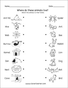 Animal Homes Honeschool kids activity sheets