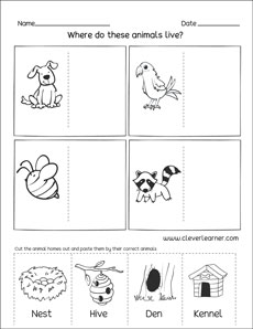 Where do animals live First grade worksheet