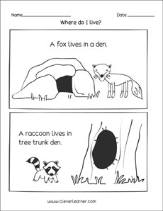 Where do foxes live preschool worksheet