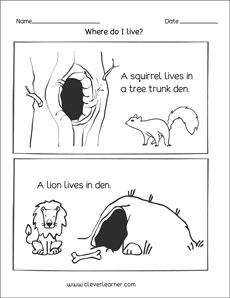 Animal Homes Preschool activity sheet