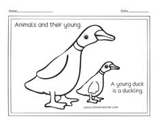 Preschool and preK animals and their young