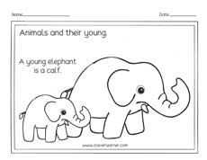 Baby elephant and mom preschool worksheets