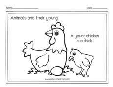 Hen and chick preschool worksheet