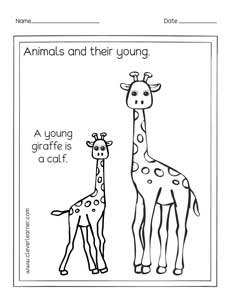 Animals science activity worksheet for kids