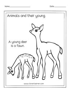 Fun animals and their young kindergarten worksheets for parents
