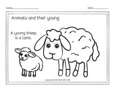 ANimals and their baby names homeschool worksheets