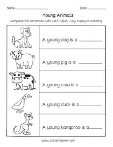 Preschool baby animals worksheet