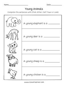 Free Animals And their young preK activity sheets