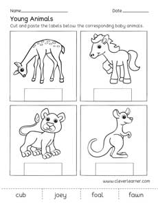 Kindergarten worksheets science animals and their young