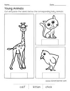 Free animals and their young worksheets