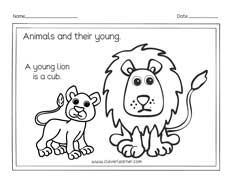 Animals and their young preschool worksheet Lion