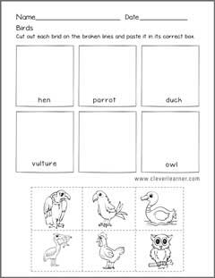 Fun Birds Worksheets for kids