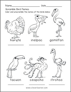 Free Birds Activity Sheets for children