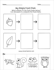 Bug eat bug food chains classroom activities