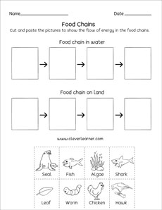 Make a food chain printable worksheet