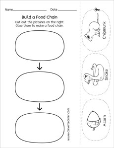 Food chain matching activity for kindergarten kids