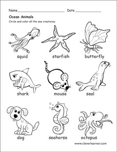 Types of sea animals for kids