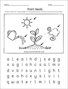 What 4 things do plants need kids science