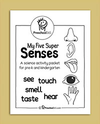 My 5 senses childrens packet