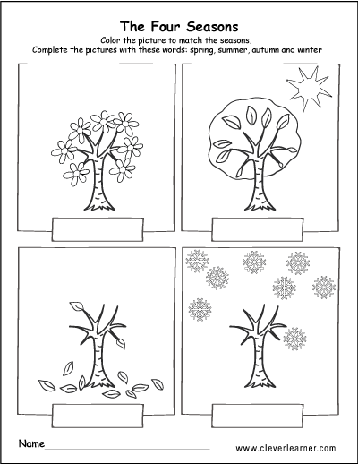 Summer season, Fall season, Winter and Spring season worksheet for kids