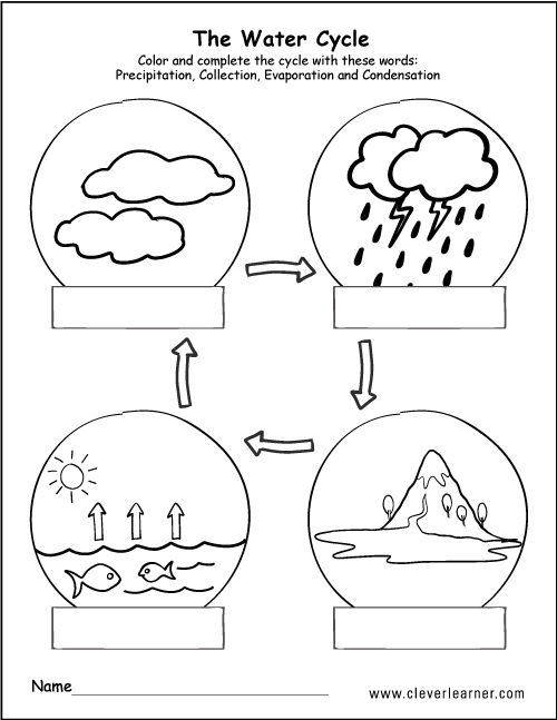 Stages of the Water Cycle for kindergarten Students