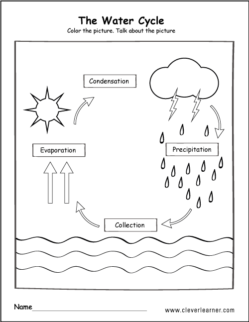 Water Cycle Theme for 1st grade kids