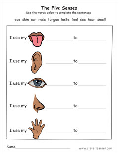 The senses of sight, taste, hearning, sense of smell and