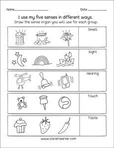 My 5 sense organs kindergarten activity