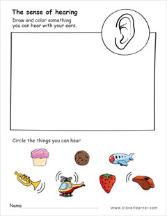 My five sense organs preschool activities