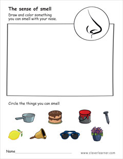 The sense of smell preschool activity worksheet