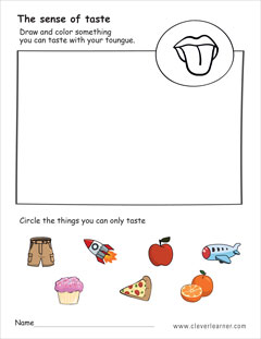 The sense of taste worksheet for homeschool children