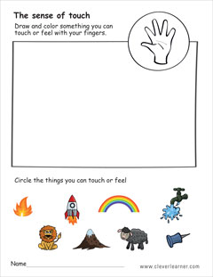 My sense of touch 1st grade worksheet