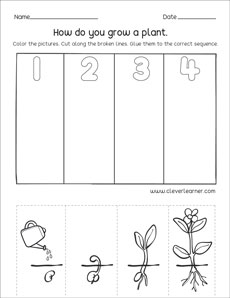 PreK Picture sequencing worksheet