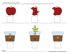 Preschool sequencing