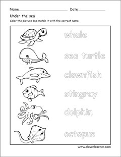 Childrens activity on aquatic animals