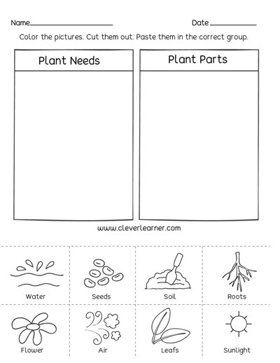 Plan needs kids science activity