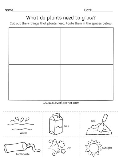 What do plants need to grow kindergarten printables