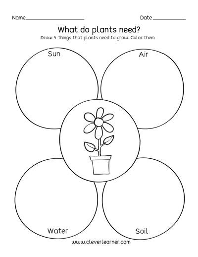 Plant Needs CleverLearner Preschool Resources