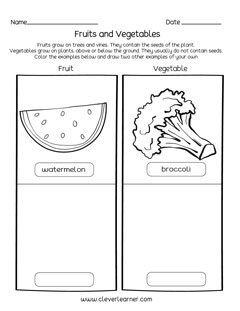 quality printable on prek fruits and veggies