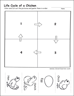 Free Frog Life cycle Activity worksheet for kindergarten Children
