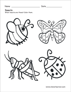 Free insects worksheets for kids