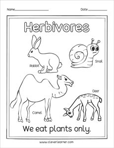 Animals that eat green plants first grade worksheets