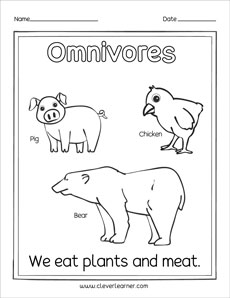 Omnivores preschool activity worksheets
