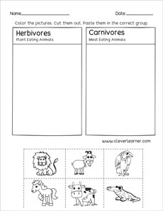 Carnivores or Herbivores