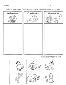 Carnivores or Herbivores for kindergarten