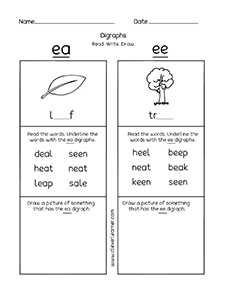 Free Kindergarten vowel digraph activities