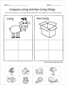 Kindergarten Living and Non-living things Activities – CleverLearner ...