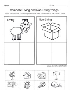 PreK living things and Nonliving Things activity