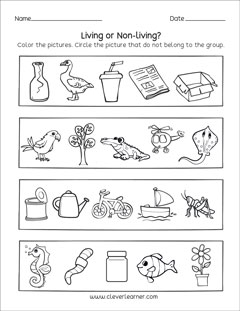 Free Living things preschool worksheets