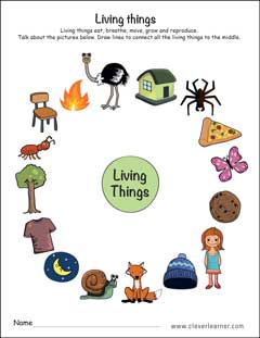 Living things or Non living things Homeschool worksheet